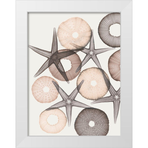 Earth Toned Pythagoras 2 White Modern Wood Framed Art Print by Koetsier, Albert