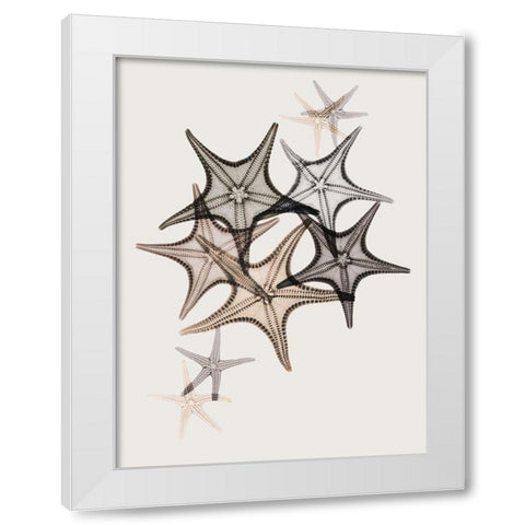 Sand Starfish 2 White Modern Wood Framed Art Print by Koetsier, Albert