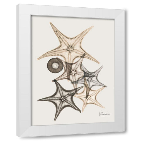 Sand Starfish 3 White Modern Wood Framed Art Print by Koetsier, Albert