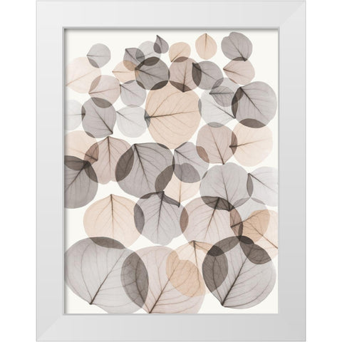 Sandy Baybean Leaves White Modern Wood Framed Art Print by Koetsier, Albert