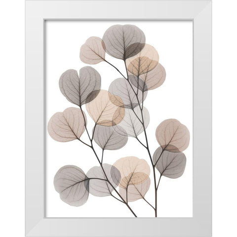 Earthy Eucalyptus Bunch White Modern Wood Framed Art Print by Koetsier, Albert