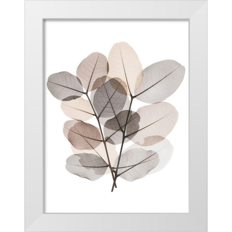 Earth Tone  Bunch White Modern Wood Framed Art Print by Koetsier, Albert