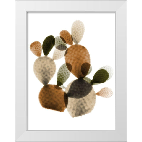 Urban Cactus Bunch 1 White Modern Wood Framed Art Print by Koetsier, Albert