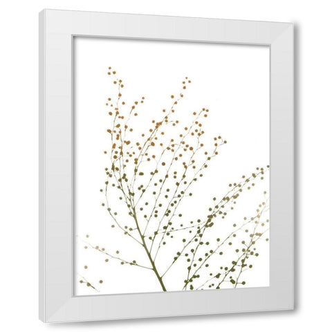 Urban And Delicate White Modern Wood Framed Art Print by Koetsier, Albert