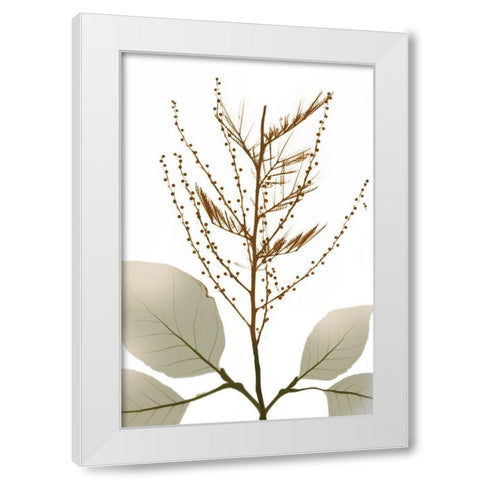 Urban Reach 2 White Modern Wood Framed Art Print by Koetsier, Albert