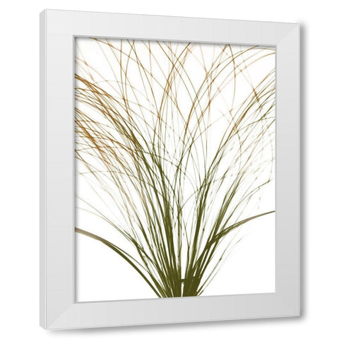 Urban Frayed Soul White Modern Wood Framed Art Print by Koetsier, Albert