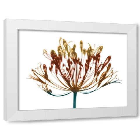 Urban Lily White Modern Wood Framed Art Print by Koetsier, Albert