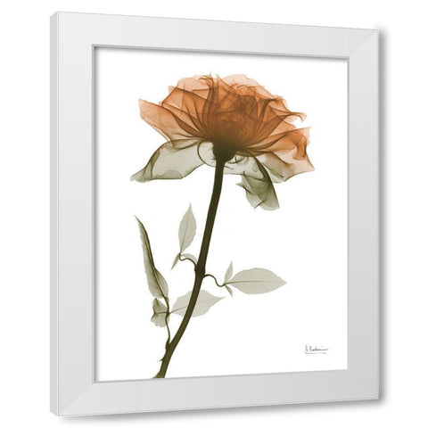 Urban Rose 1 White Modern Wood Framed Art Print by Koetsier, Albert