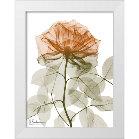 Urban Jungle Rose 1 White Modern Wood Framed Art Print by Koetsier, Albert