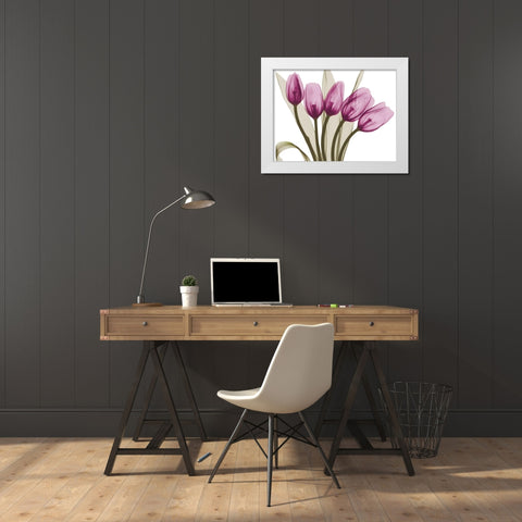 Vibrant Marching Tulips White Modern Wood Framed Art Print by Koetsier, Albert