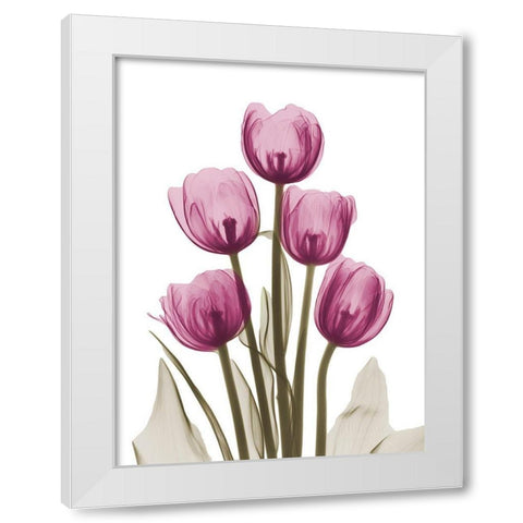 Vibrant Tulip Tower White Modern Wood Framed Art Print by Koetsier, Albert