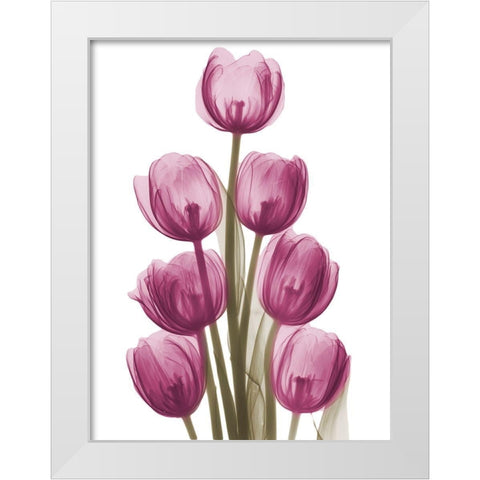 Vibrant Tulip Tower White Modern Wood Framed Art Print by Koetsier, Albert