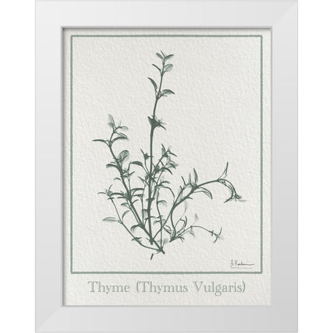 Thymus Vulgaris 2 White Modern Wood Framed Art Print by Koetsier, Albert