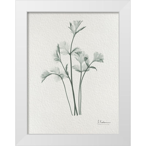 Parsley 2 White Modern Wood Framed Art Print by Koetsier, Albert