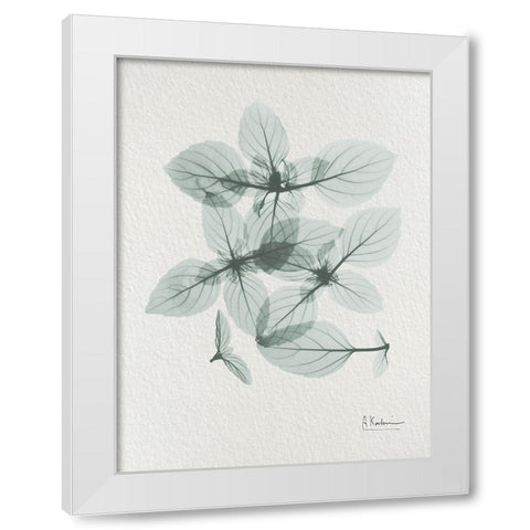 Basil Ocimum Basilicum 2 White Modern Wood Framed Art Print by Koetsier, Albert