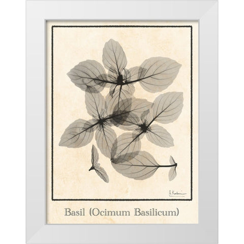 Basil Ocimum Basilicum White Modern Wood Framed Art Print by Koetsier, Albert