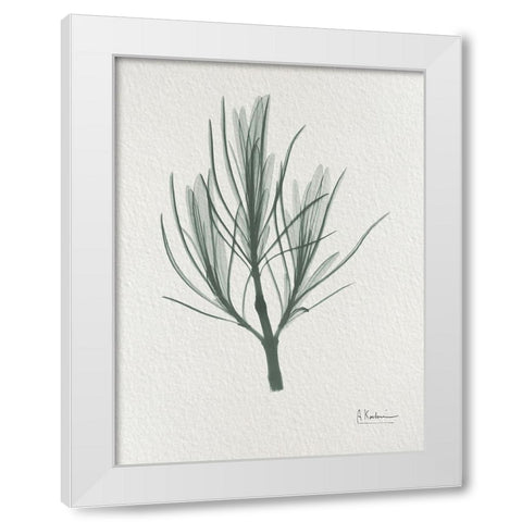 Rosemary 2 White Modern Wood Framed Art Print by Koetsier, Albert