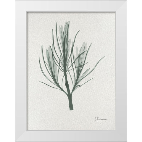 Rosemary 2 White Modern Wood Framed Art Print by Koetsier, Albert