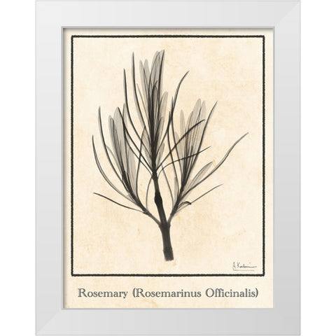 Rosemary White Modern Wood Framed Art Print by Koetsier, Albert