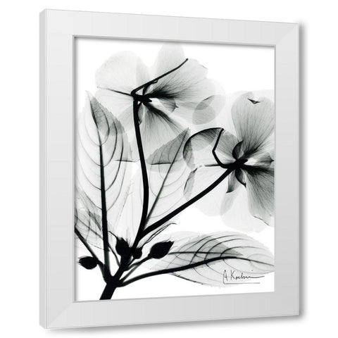 Impatient Growth White Modern Wood Framed Art Print by Koetsier, Albert