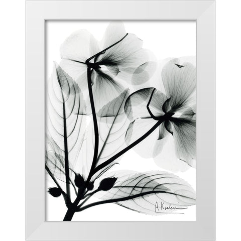 Impatient Growth White Modern Wood Framed Art Print by Koetsier, Albert