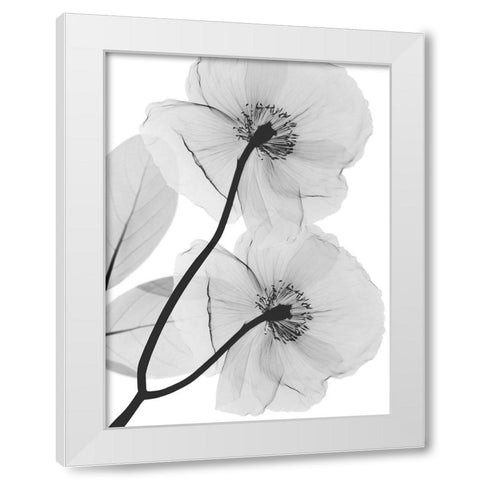 Kinetic Translation White Modern Wood Framed Art Print by Koetsier, Albert