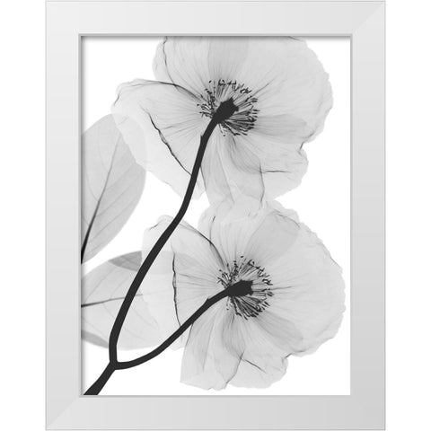 Kinetic Translation White Modern Wood Framed Art Print by Koetsier, Albert