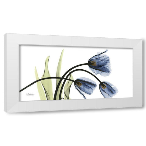 Tulip Blues White Modern Wood Framed Art Print by Koetsier, Albert