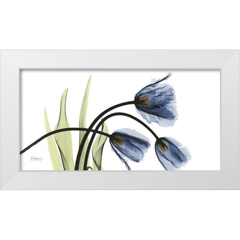 Tulip Blues White Modern Wood Framed Art Print by Koetsier, Albert