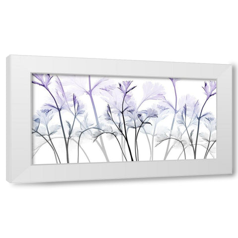 Amethyst Passion White Modern Wood Framed Art Print by Koetsier, Albert