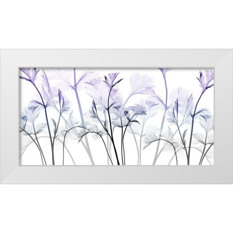 Amethyst Passion White Modern Wood Framed Art Print by Koetsier, Albert