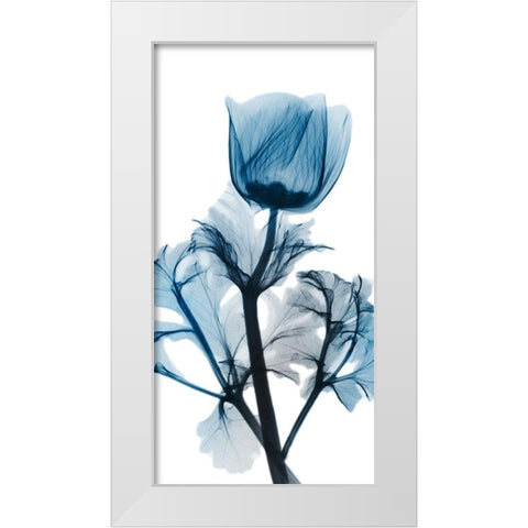 Sapphire Glam 1 White Modern Wood Framed Art Print by Koetsier, Albert