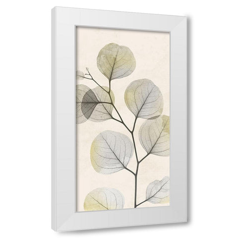 Sunkissed Growth 1 White Modern Wood Framed Art Print by Koetsier, Albert