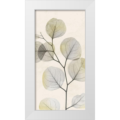 Sunkissed Growth 1 White Modern Wood Framed Art Print by Koetsier, Albert