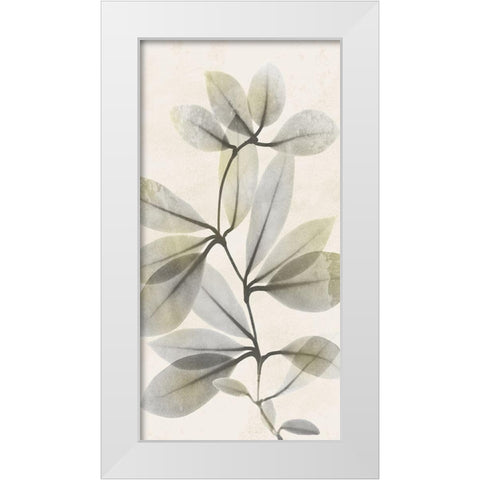 Sunkissed Growth 3 White Modern Wood Framed Art Print by Koetsier, Albert