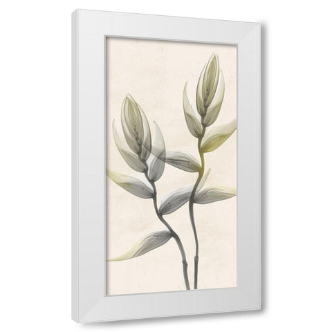 Sunkissed Growth 4 White Modern Wood Framed Art Print by Koetsier, Albert