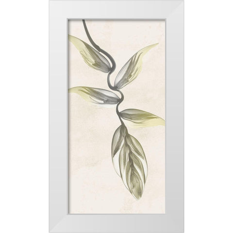 Sunkissed Growth 5 White Modern Wood Framed Art Print by Koetsier, Albert