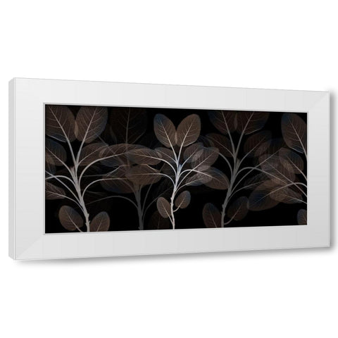 Cocoa Blooms 1 White Modern Wood Framed Art Print by Koetsier, Albert