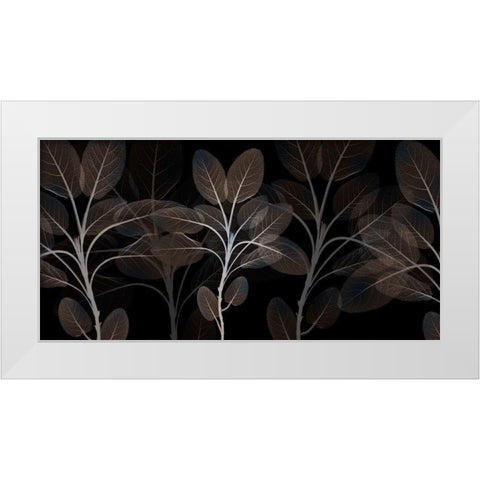 Cocoa Blooms 1 White Modern Wood Framed Art Print by Koetsier, Albert