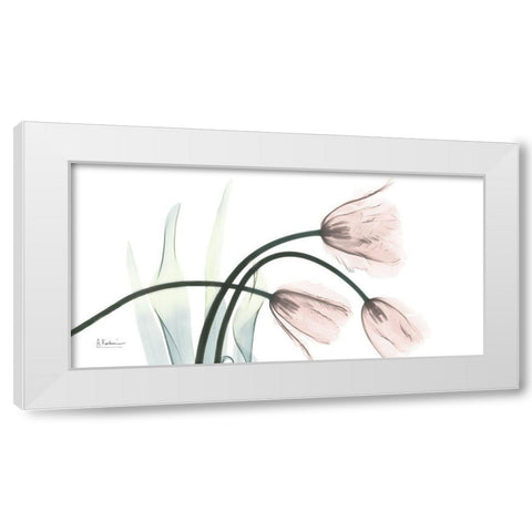 Freshly Bloomed 1 White Modern Wood Framed Art Print by Koetsier, Albert