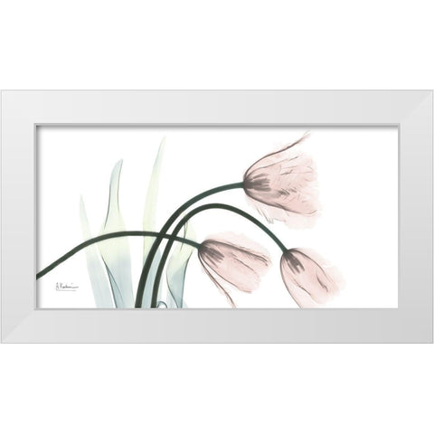 Freshly Bloomed 1 White Modern Wood Framed Art Print by Koetsier, Albert