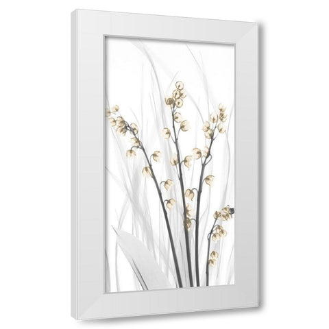 Delightful Oasis 2 White Modern Wood Framed Art Print by Koetsier, Albert