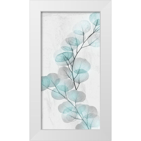 Eucalyptus Glow 2 White Modern Wood Framed Art Print by Koetsier, Albert