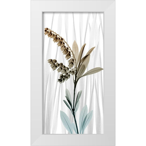 Suave Snowdrops 1 White Modern Wood Framed Art Print by Koetsier, Albert