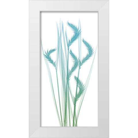 Serene Flourish 1 White Modern Wood Framed Art Print by Koetsier, Albert