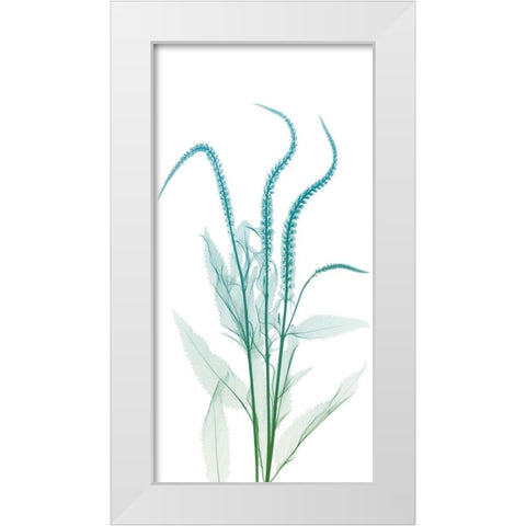 Serene Flourish 2 White Modern Wood Framed Art Print by Koetsier, Albert