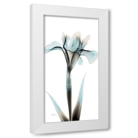Sea Infused Iris 1 White Modern Wood Framed Art Print by Koetsier, Albert