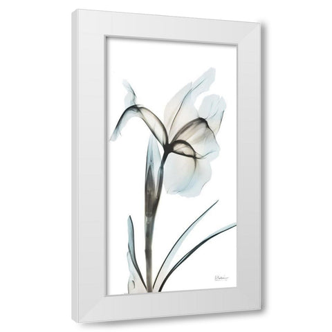 Sea Infused Iris 2 White Modern Wood Framed Art Print by Koetsier, Albert
