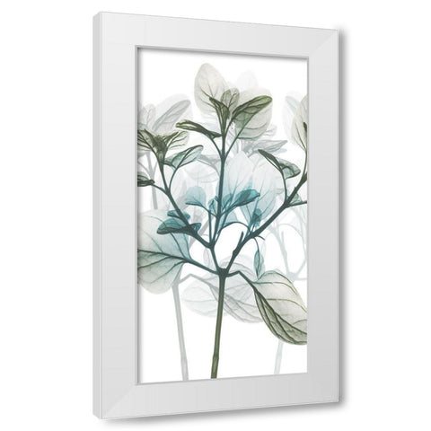 Sea Breeze Pleasures 1 White Modern Wood Framed Art Print by Koetsier, Albert