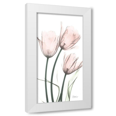 Strawberry Infused Tulips White Modern Wood Framed Art Print by Koetsier, Albert